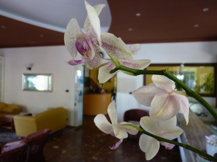Hotel Gambrinus リド・ディ・イエゾロ エクステリア 写真